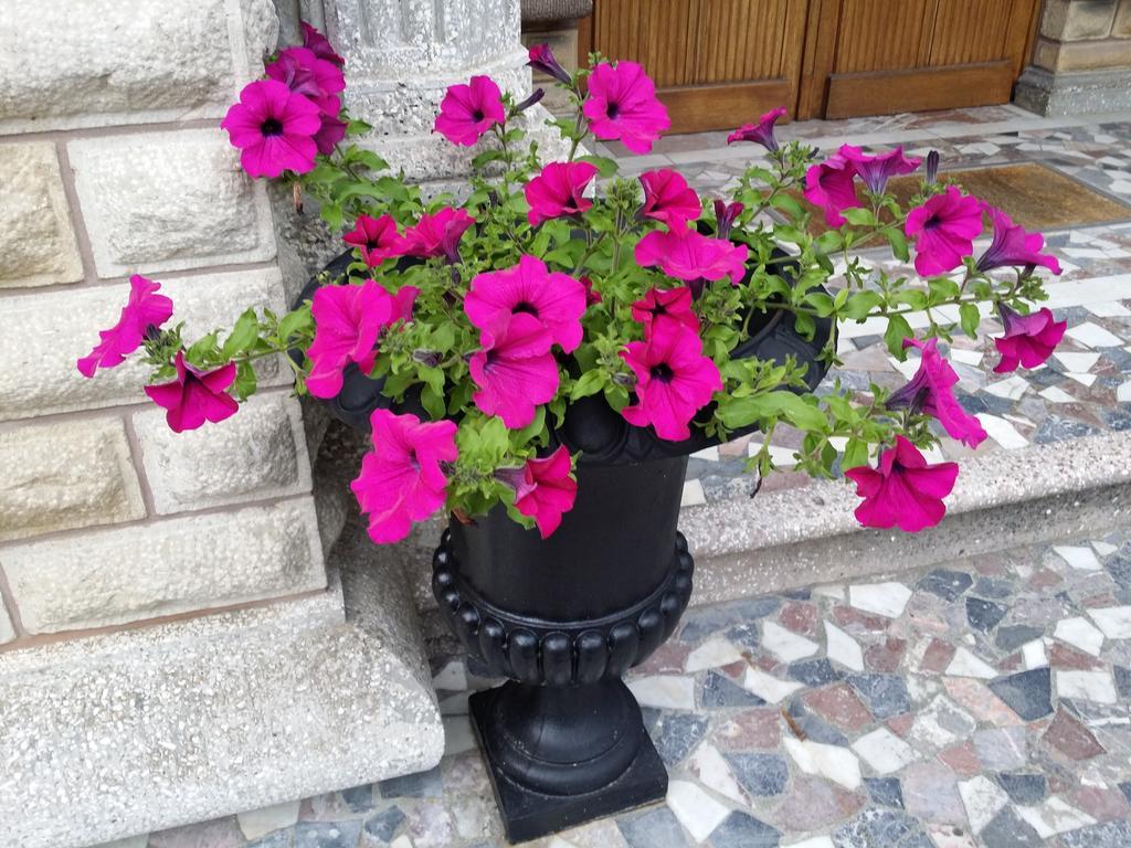 Le Castel Guesthouse Μπαγιέ Εξωτερικό φωτογραφία