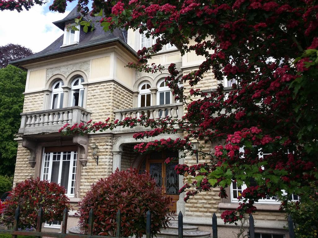 Le Castel Guesthouse Μπαγιέ Εξωτερικό φωτογραφία